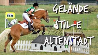 Turnier Dressurhaflinger Amani  GeländeStilE  Hafiturnier Altenstadt 2015 [upl. by Engleman746]