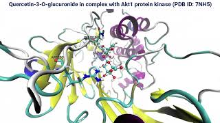 Quercetin3Oglucuronide in complex with Akt1 protein kinase PDB ID 7NH5 [upl. by Gautea]