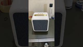 DIY Bluetooth Speaker  Mono 60w [upl. by Wartow]