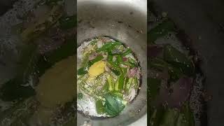 Chintakaya Rasam food song [upl. by Nerrawed]