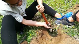 soil sampling from the different layers of soil [upl. by Calvano]