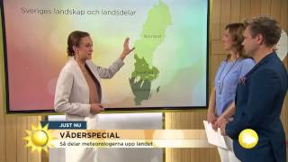 Väderspecial Här skiner solen idag  Nyhetsmorgon TV4 [upl. by Lehcear]