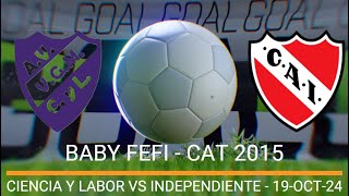 BABY FUTBOL FEFI  Ciencia y Labor vs Independiente [upl. by Mali184]