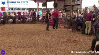 2024 Adams County Fair  Market Hog Show [upl. by Ayirp76]