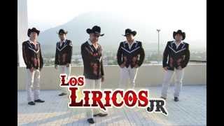 💃CUMBIAS MIX PERRONAS CON VIOLÍN 🎻LOS LIRICOS JR [upl. by Judye]