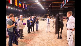 KFPS Hengstenkeuring 2020  Huldiging van 25jarige Jasper 366 [upl. by Yruoc]