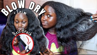 Blow Dryer brush is better than RevlonThe ONLY Blow dry routine you need Blow dry Natural Hair [upl. by Yednil]