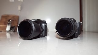 sony a77ii vs a7ii [upl. by Hibbert946]