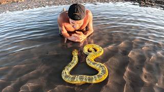 Exploring For Venomous Sea Animals In Tide Pools [upl. by Naedan]