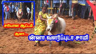 ன்னா வளர்ப்புடா சாமி 100 வேற லெவல் காளை Tamizhan Trending [upl. by Ailima]