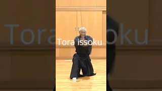 Muso Shinden Ryu Chuden iaido kendo japanesemartialarts dojo martialarts japan kenjutsu [upl. by Aydiv]