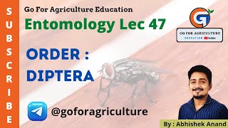 Order  DIPTERA Entomology L47 • Go For Agriculture icar bhu ibps goforagriculture [upl. by O'Carroll724]