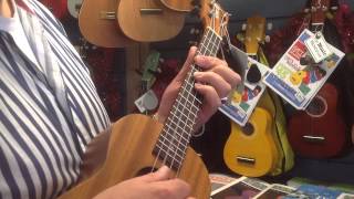 Wellington ukulele Lorde of the strings Ukulele Cavatina Theme for the Deer hunter [upl. by Cloris]