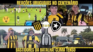 REAÇÕES URUGUAIAS EM PEÑAROL 33 X 61 BOTAFOGO  BASTIDORES BATALHA PARA A FINAL DA LIBERTA [upl. by Annauqahs905]