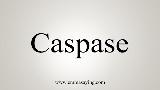 How To Say Caspase [upl. by Gnouhk]