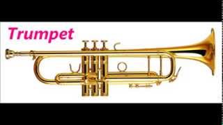 Sounds of the Trumpet Trombone and French Horn [upl. by Attenev71]