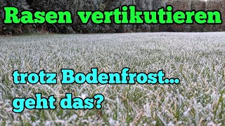 Rasen vertikutieren bei Bodenfrost Kann man jetzt schon zum Vertikutierer greifen [upl. by Jael]