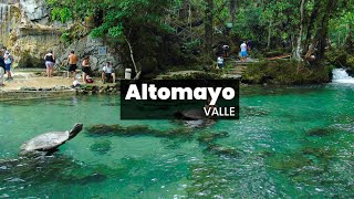 Tour Altomayo Tarapoto [upl. by Annodas]