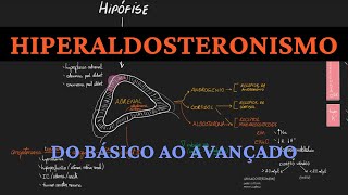 Hiperaldosteronismo  do básico ao avançado [upl. by Manson]