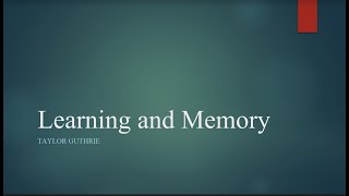 Learning and Memory [upl. by Ulrikaumeko762]