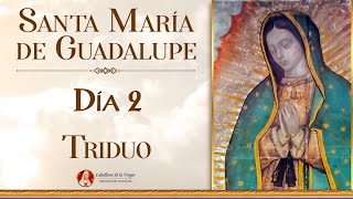 TRIDUO a Nuestra Señora de Guadalupe  Día 2🌹 Padre Ricardo del Campo virgendeguadalupe [upl. by Ahsiki]