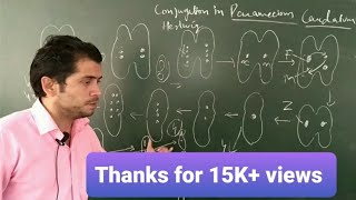 Conjugation in Paramecium caudatum [upl. by Auqinimod752]