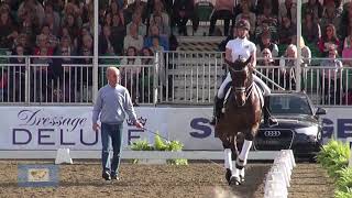 British Dressage Nationals 2013 Laura Tomlinson and Polar Bear Master Class extracts [upl. by Fedora]