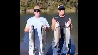 Quinault River Salmon Wicked [upl. by Oknuj]