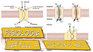 Fisiologia  O Transporte de Substâncias Através da Membrana Celular Capítulo 4 [upl. by Novy]
