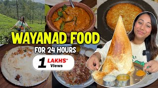 Eating WAYANAD Kerala Food for 24 Hours  Last Episode [upl. by Dottie]