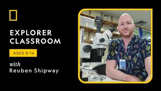 Explorer Classroom  Shipwrecks and Shipworms with Reuben Shipway [upl. by Rehtse904]