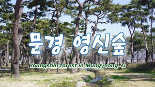 문경 영신숲 Youngshin forest in Mungyeongsi [upl. by Vaclav]