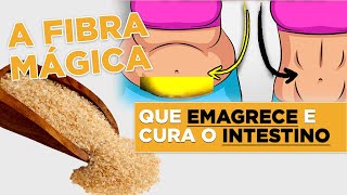 10 Benefícios do Psyllium  Solução para Emagrecimento e Intestino Preso [upl. by Hackathorn423]