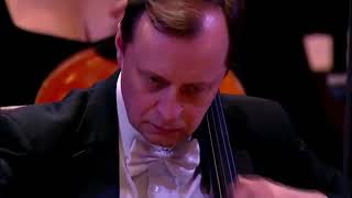 Valery Gergiev amp Mariinsky Theatre Orchestra Shostakovich Symphony 15 [upl. by Eanahc]