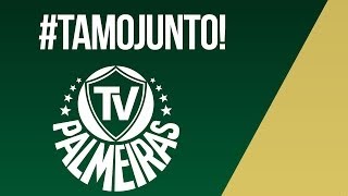 Vídeo especial de lançamento da TV Palmeiras  Hino [upl. by Llenrub735]