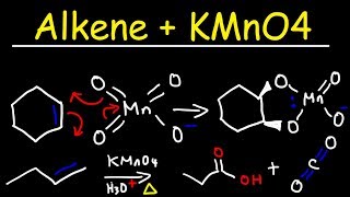 Alkene  KMnO4 Reaction [upl. by Carvey593]