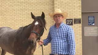 Champion Talks With Bill Cowan 2020 NCHA Summer Spectacular [upl. by Ahtram]