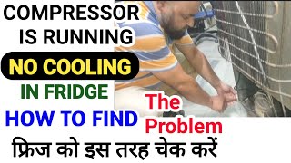 No Cooling In Fridge But Compressor Is Running  How To Find Problem [upl. by Nessim849]