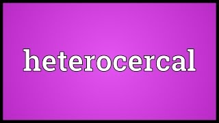 Heterocercal Meaning [upl. by Aveer]