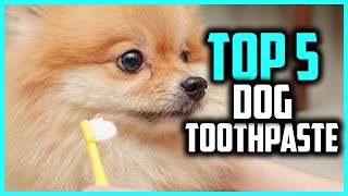 ✅ Top 5 Best Dog Toothpaste [upl. by Marya]