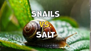 Why Do Snails HATE Salt facts snail [upl. by Aerdnas]