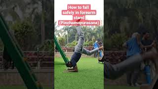 How to fall safely in Forearm Stand Pinchamayurasana [upl. by Silecara]