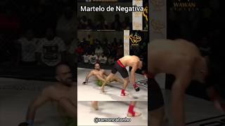 Martelo de negativa kick capoeira capoeira mma ufc [upl. by Einad117]