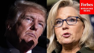 ‘Backstabbing RINO Republicans’ Trump Attacks Liz Cheney As He Endorses Her Congressional Opponent [upl. by Hillyer842]