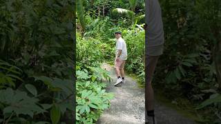 Barbados Flower Forest Botanical Gardens travelguide travel [upl. by Giulio]