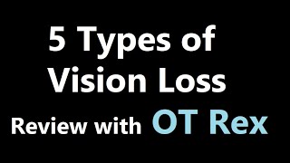 OT Rex  5 Types of Vision Loss [upl. by Otipaga]