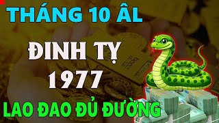 Tử vi tuổi ĐINH TỴ 1977 tháng 10 âm lịch LAO ĐAO HAO HỤT ĐỦ ĐƯỜNG [upl. by Nael]