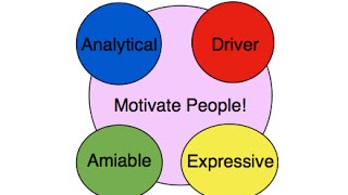 How to Motivate the 4 Personality Types  How to Speak The Secret Language of Personality Styles [upl. by Haland785]