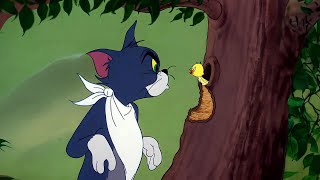 Tom and Jerry  Episode 87  Downhearted Duckling AI Remastered tomandjerry remastered 1440p [upl. by Lytton406]