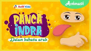 Rofif Kids  Mengenal Panca Indera Dalam Bahasa Arab [upl. by Tecu]